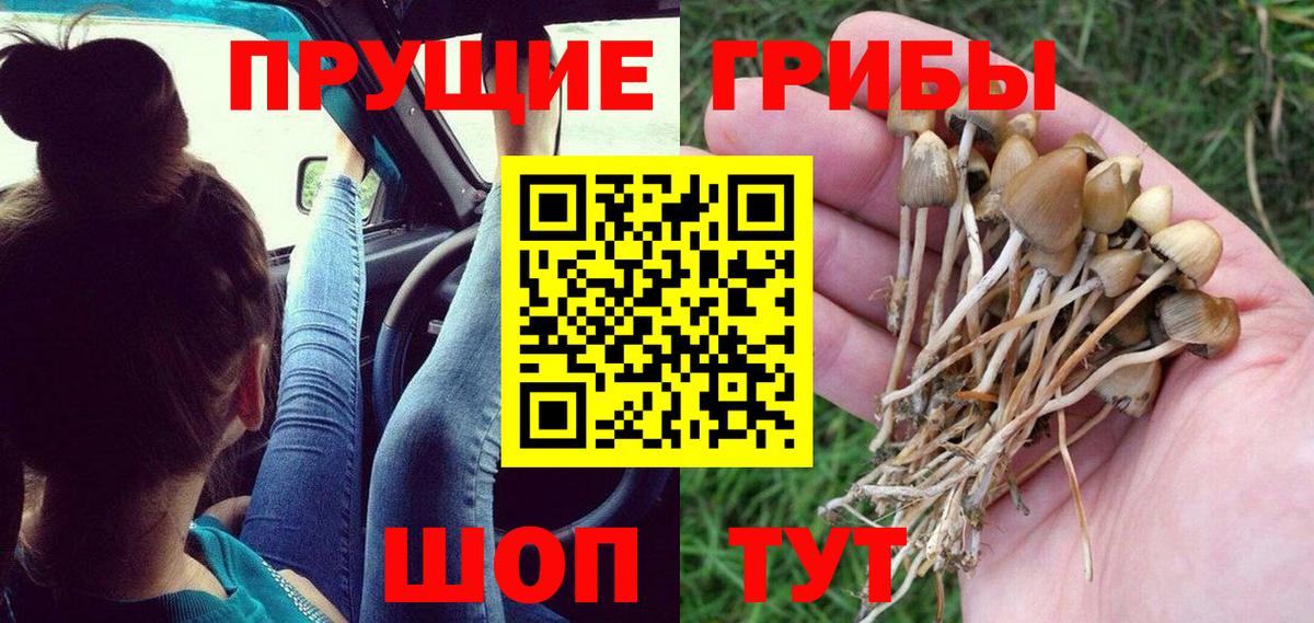 Псилоцибиновые грибы мицелий  Вход с VPN  Донской  Галлюциногенные грибы мицелий 